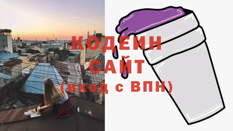 где можно купить наркотик  Николаевск-на-Амуре  KRAKEN ссылка  Кодеиновый сироп Lean Purple Drank 